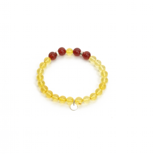 Cargar imagen en el visor de la galería, Pulsera Ambar y Cornalina pata 950