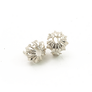 Arete Erizo de mar plata 950