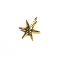 Dije Estrella plata 950